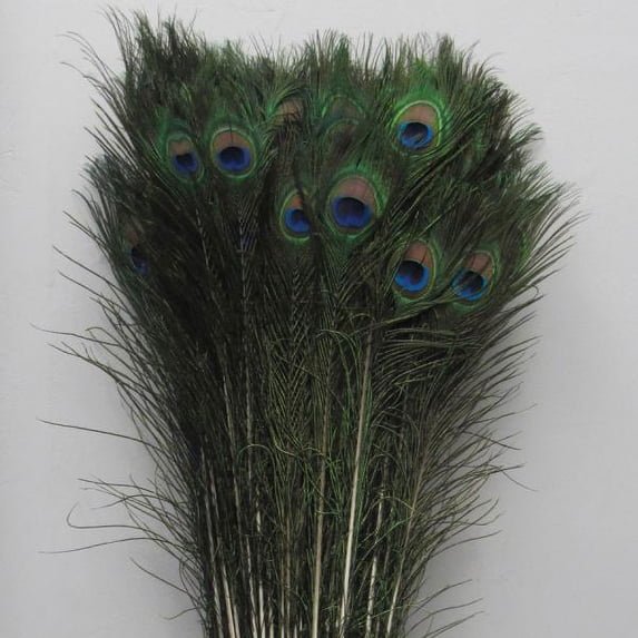 Decostar™ Peacock Feather 35"-39" - Pack of 100!