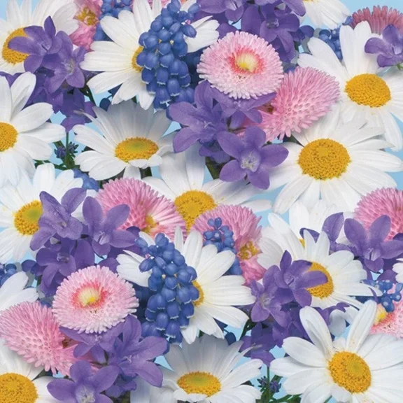 Decoupage Paper Napkins Luncheon Spring Floral Flowers Daisies - Pack Of 20