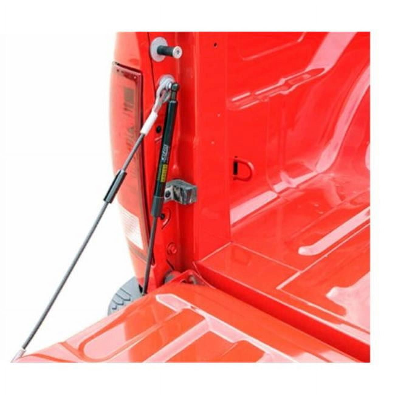 Dee Zee Truck Tailgate Assist - 2015-16 Ford Dee Zee Truck Tailgate Assist - 2015-16 Ford