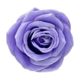 thumbnail image 1 of Deeceymbur Artificial Rose Heads Multi Colored Silk Roses Faux Floral Decor Indoor Outdoor Display Imitation Flower Accents, 1 of 7