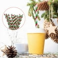 thumbnail image 1 of Deeceymbur Disposable Plastic Drinking Straws Flexible Plastic Straws Red And Green Striped StrawsDisposable Paper Straws, 1 of 7