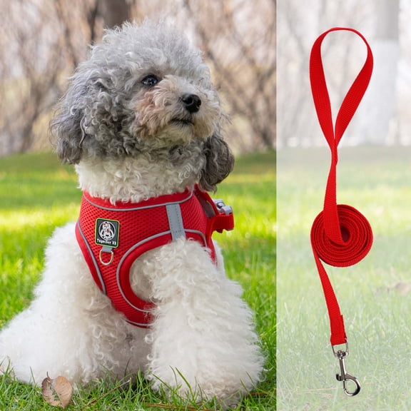Deeceymbur Dog Leashes Set, Adjustable Soft Padded Easy Walk Dog Vest for Small Medium Large Dogs
