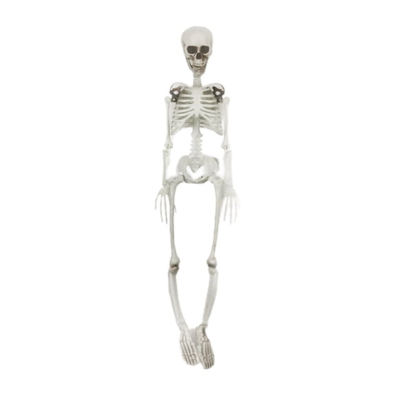 Deeceymbur Hanging Skeleton Decoration Movable Joint Prop for Graveyard and Ghost House Decor C