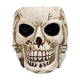thumbnail image 1 of Deeceymbur Halloween Themed Skull Flower Pot Multi Use Desktop Decor Creative Gift Office Home Planter 2.36x3.51x3.54in, 1 of 6