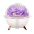thumbnail image 1 of Deeceymbur Humidifier Eternal Flower Design Ambient Light for Home Office Decoration Gift, 1 of 4