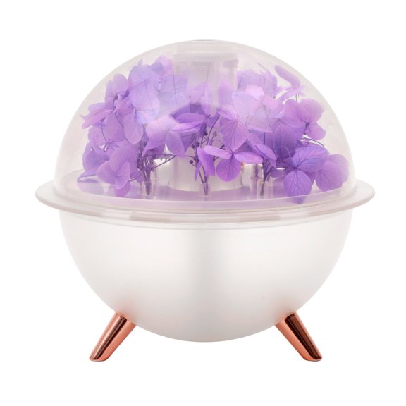 Deeceymbur Humidifier Eternal Flower Design Ambient Light for Home Office Decoration Gift