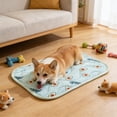 thumbnail image 1 of Deeceymbur Ice Silk Cooling Pet Pad for Dogs Cats Summer Chill Mat With Skin Friendly Fabric Portable Washable Bed for Hot Weather Relief, 1 of 1