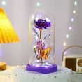 thumbnail image 1 of Deeceymbur LED Night Light Preserved Rose in Glass Dome with Butterflies Starry Sky Base Romantic Glowing Decor Gift for Women Valentine Birthday, 1 of 6