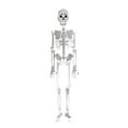 thumbnail image 1 of Deeceymbur Luminous Skull Skeleton Body Toy Scary Halloween Prop for Haunted House Decorations for Tricky and Spooky Halloween Party Setups White, 1 of 9
