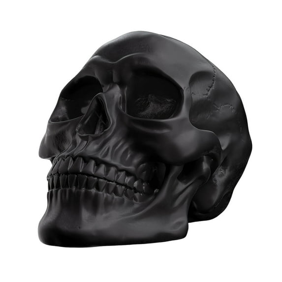 Deeceymbur Personalized Carved Skull Ornament Resin Material Mantel Display Halloween Party Prop 7.7x5.9x5.4in