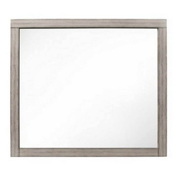 Deena 41 Inch Classic Accent Mirror, Wood Grain, Gray Finish- Saltoro Sherpi
