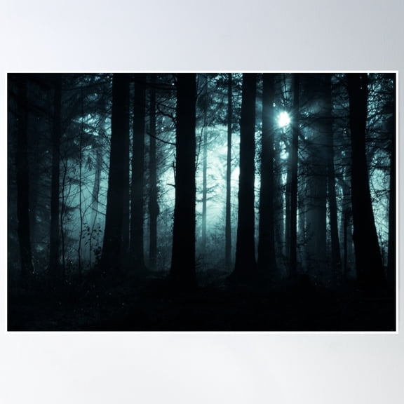 Deep Dark Forest Poster Wall Art, Modern Wall Decor, 16x24 UNFRAMED