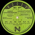 thumbnail image 1 of Deep Expression Digifunk Rasoul - Moods - Music & Performance - Vinyl, 1 of 1