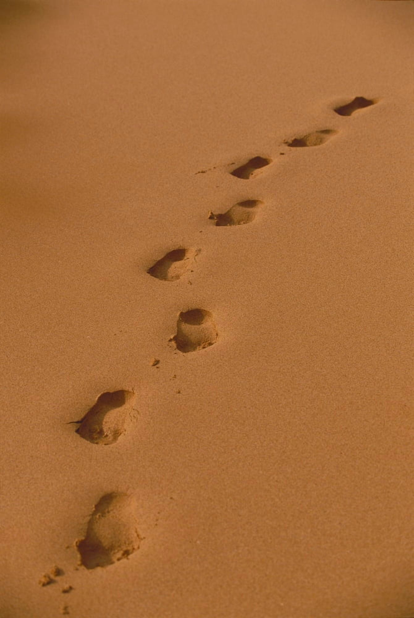 Deep Footprints On Smooth Sand Canvas Art - Ron Dahlquist Design Pics (24 x 38)