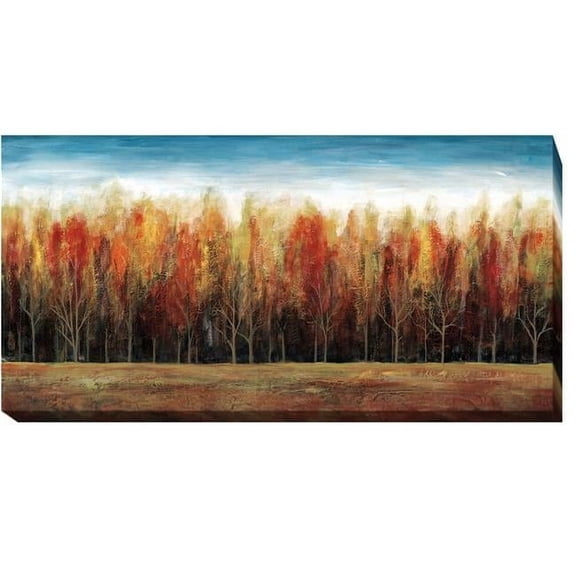 Deep Forest by Stephane Fontaine Premium Gallery-Wrapped Canvas Giclee - 16 x 32 x 1.5 in.