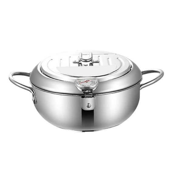 Deep Fryer Pot with Temperature Control and Lid for Fried Squid French Fries 20cm