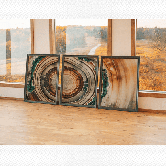 Deep Green Earth Tone Tree Ring Nordic Poster Set 3 Prints Set 3 , Poster Only