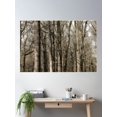 thumbnail image 1 of Deep In The Forest Poster Wall Art, Modern Wall Decor For Living Room Bedroom, 8x12 UNFRAMED, 1 of 3