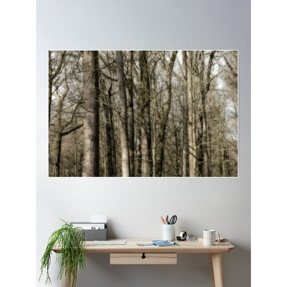 Deep In The Forest Poster Wall Art, Modern Wall Decor For Living Room Bedroom, 8x12 UNFRAMED