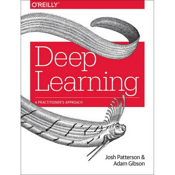 Deep Learning: A Practitioner's Approach (Paperback)