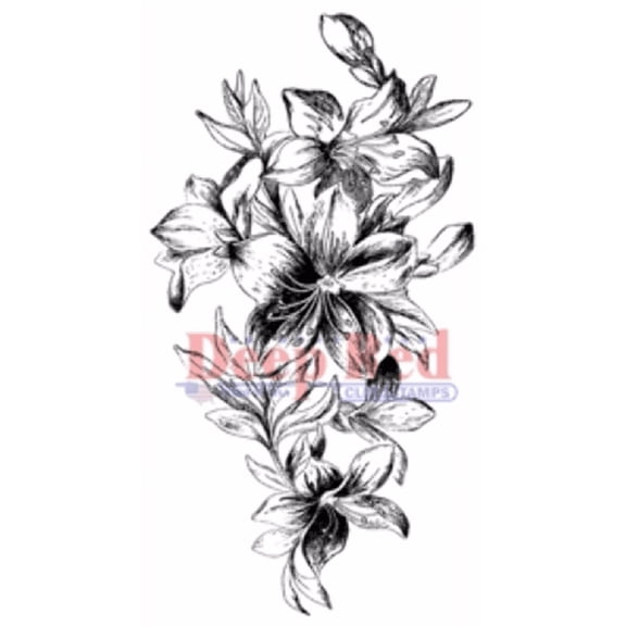 Deep Red Cling Stamp 1.5"x3"-lily Cascad