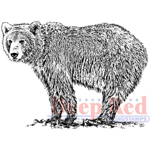 Deep Red Cling Stamp 3"X5"-Grizzly Bear