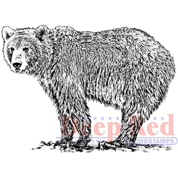 Deep Red Cling Stamp 3"X5"-Grizzly Bear