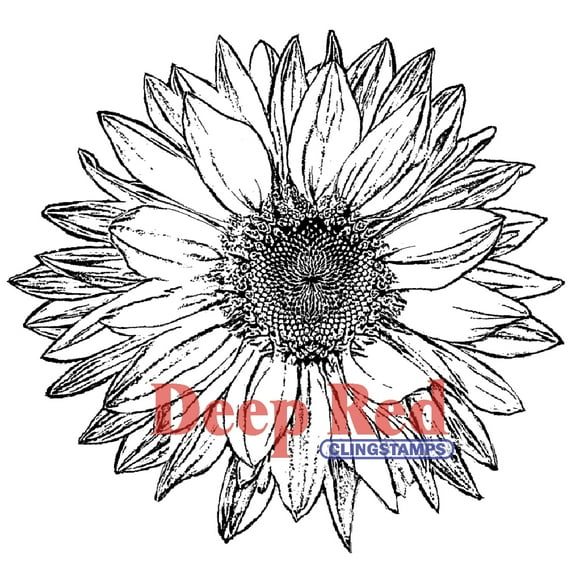 Deep Red Cling Stamp 4"X5"-Large Sunflower