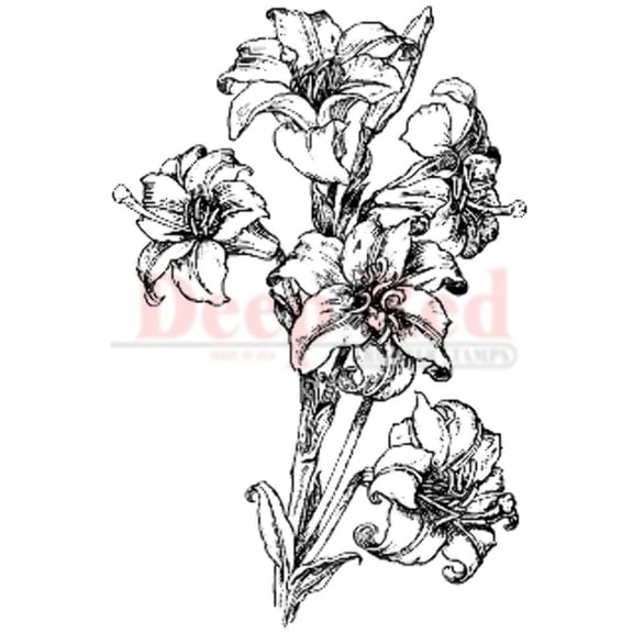 Deep Red Rubber Stamp Lillies Pen and Ink Drawing Sketch