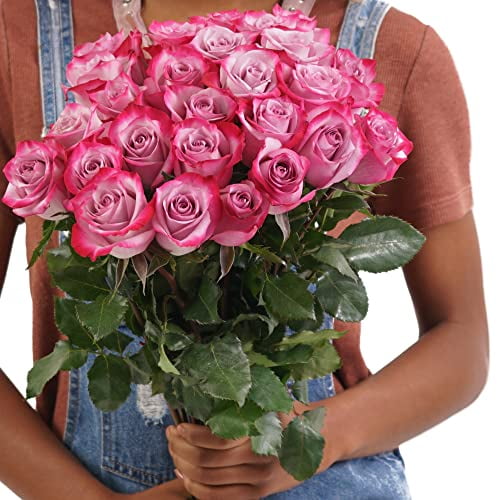 Deep Roses And 6 More Colors 12, 24, 50 Or 100 Roses Free Farm