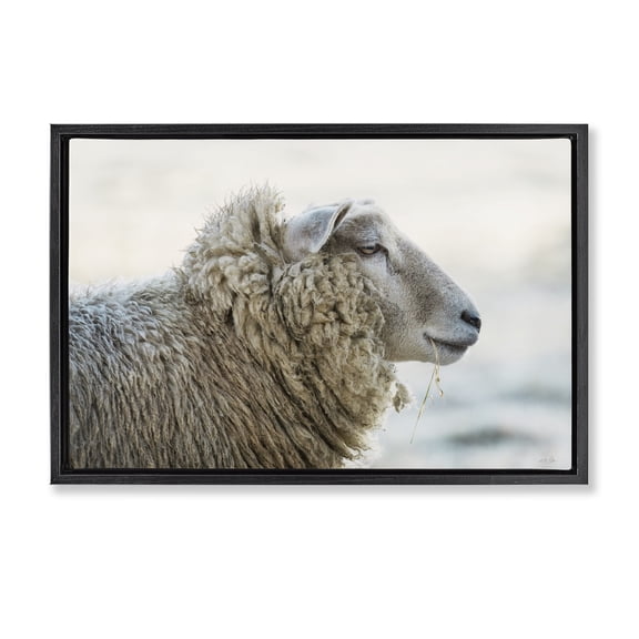 Stupell Industries Deep Thoughts Sheep Portrait Black Framed Floater Canvas Wall Art, design by Martin Podt