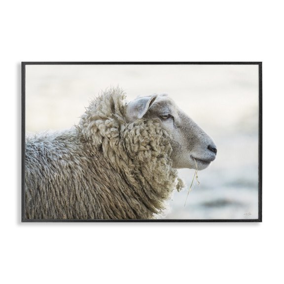 Stupell Industries Deep Thoughts Sheep Portrait Black Framed Giclee Art, design by Martin Podt