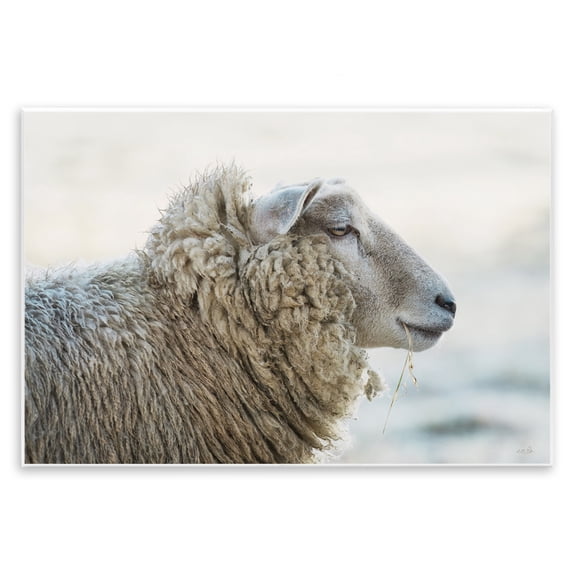 Stupell Industries Deep Thoughts Sheep Portrait Wall Plaque Art, design by Martin Podt