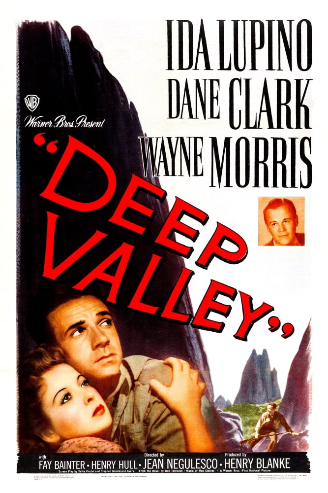 Deep Valley U Canvas Art - (24 x 36)