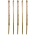 thumbnail image 1 of Deep Watering Spikes - 36-Inch - Pack of 5, 1 of 1