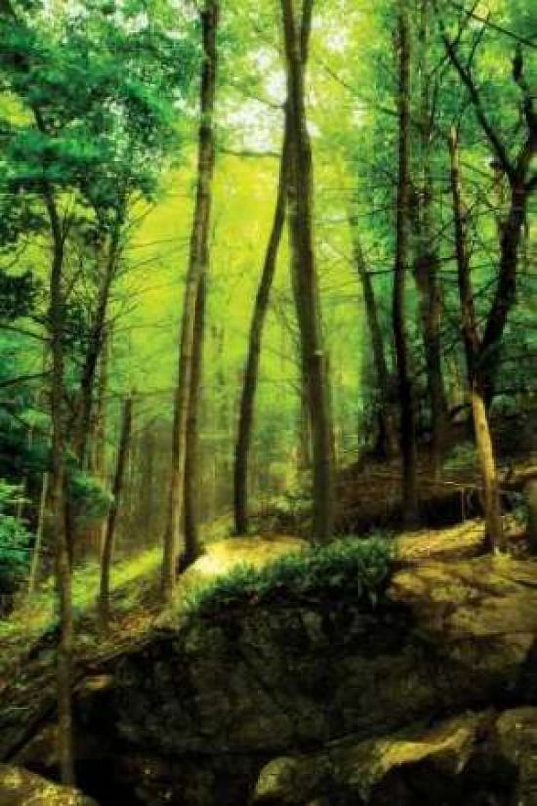 Deep Woods I Canvas Art - Alan Hausenflock (24 x 36)