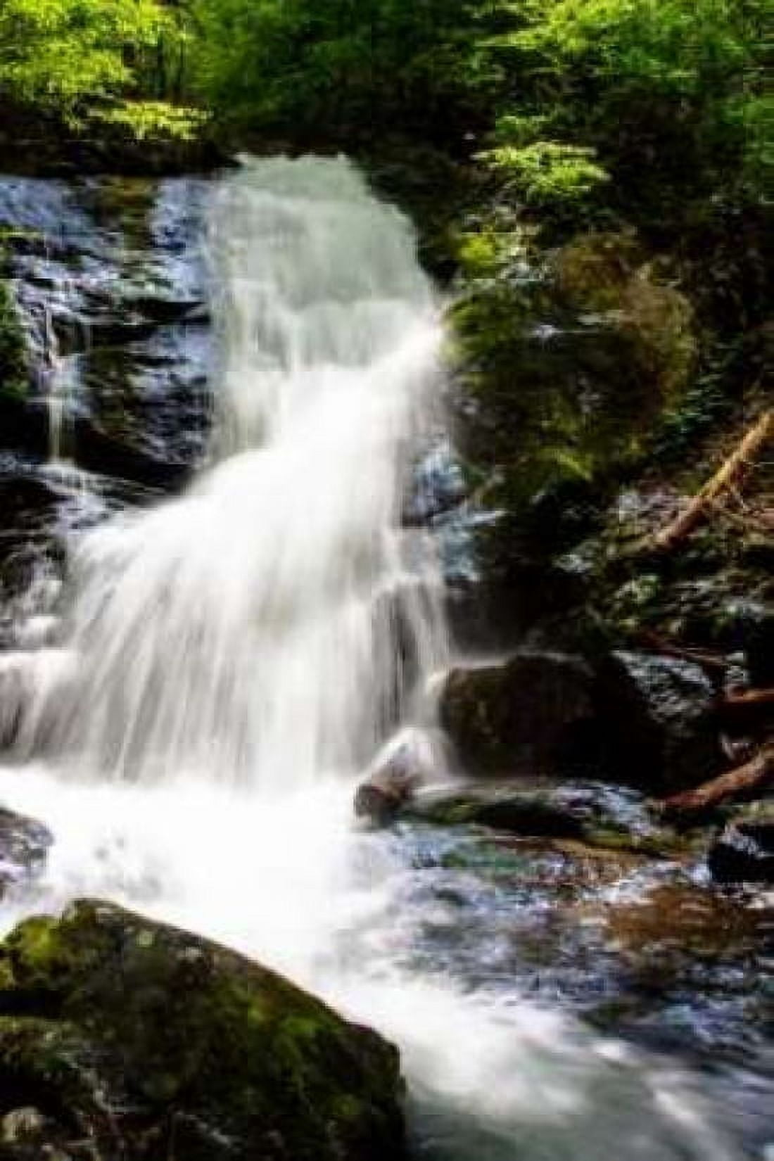 Deep Woods Waterfall I Canvas Art - Alan Hausenflock (20 x 28)