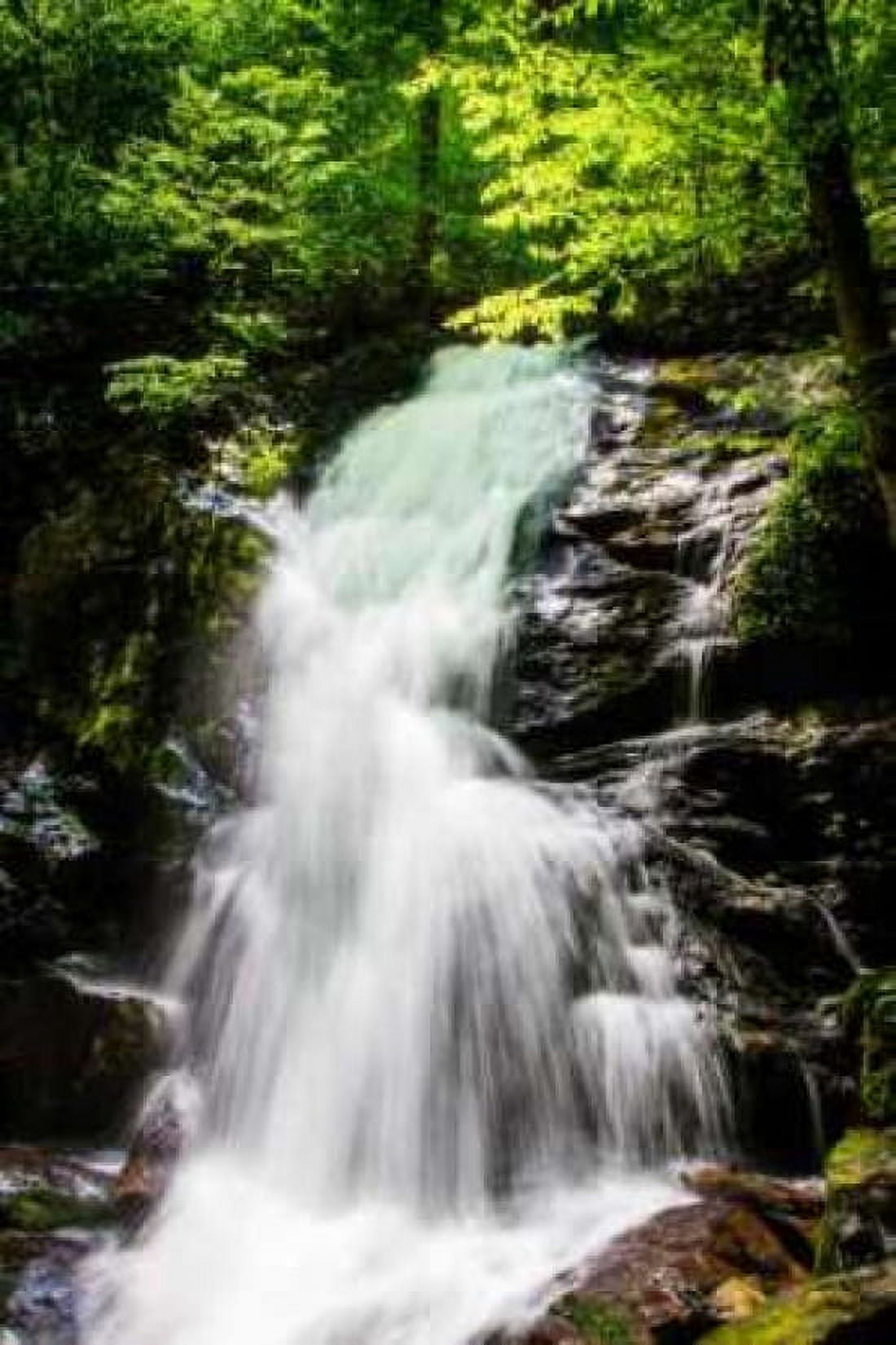 Deep Woods Waterfall II Canvas Art - Alan Hausenflock (20 x 28)