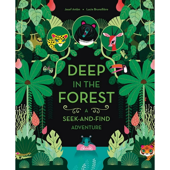 Deep in the Forest: A Seek-And-Find Adventure (Board Book)