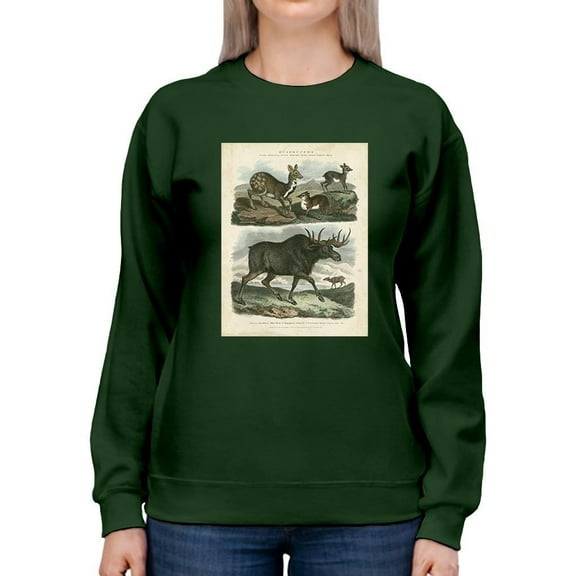 Deer And Moose Sweatshirt Women -Sydenham Edwards Designs, Female Large