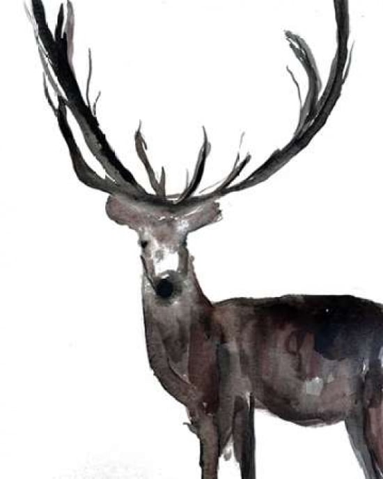 Deer Canvas Art - Melissa Lyons (24 x 30)