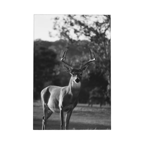 Deer Double Canvas Framed Wall Art Rustic Woodland Animal Print Nordic Nature Landscape Home Decor Modern Farmhouse Wall Decoration for Living Room Bedroom Office