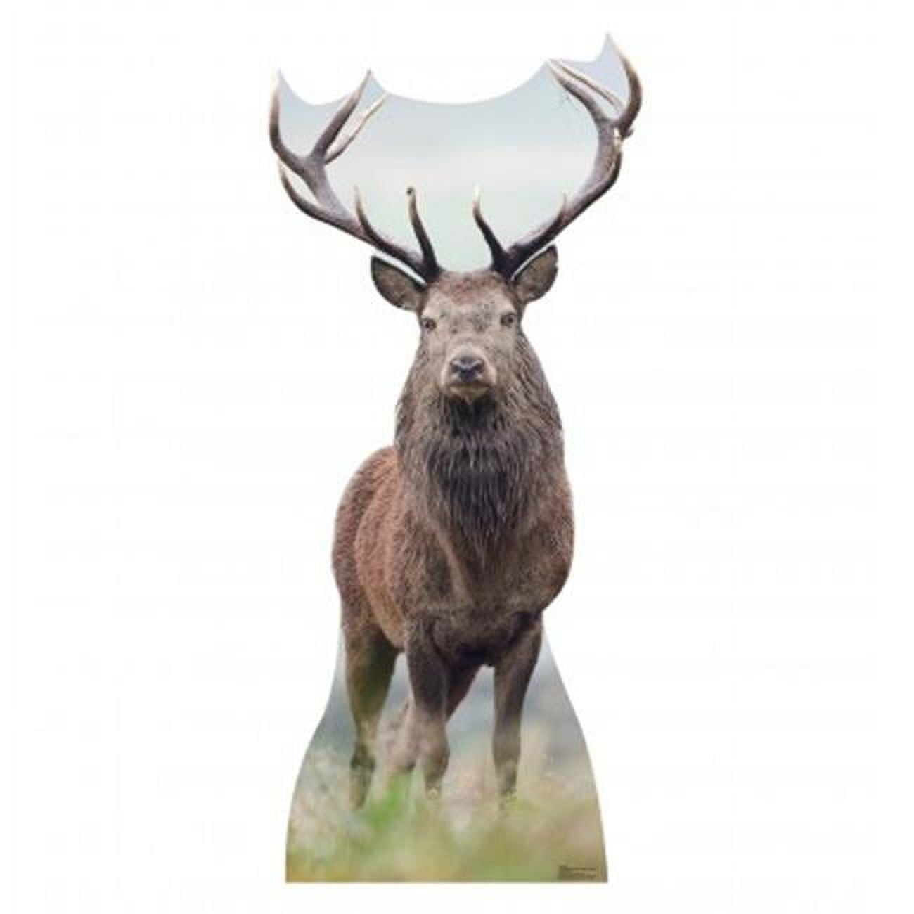 Life-Size Deer Cardboard Standup with Antlers