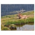 thumbnail image 1 of Deer Ceramic Tile Mural Kitchen Backsplash Bathroom Shower, 402751-L54, 1 of 3
