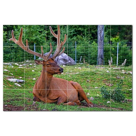 Deer Ceramic Tile Mural Kitchen Backsplash Bathroom Shower, 402757-XL64