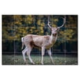 thumbnail image 1 of Deer Ceramic Tile Mural Kitchen Backsplash Bathroom Shower, 402776-M64, 1 of 3