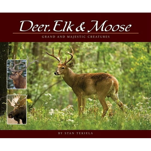 Wildlife Appreciation Deer, Elk & Moose: Grand and Majestic Creatures, (Paperback)