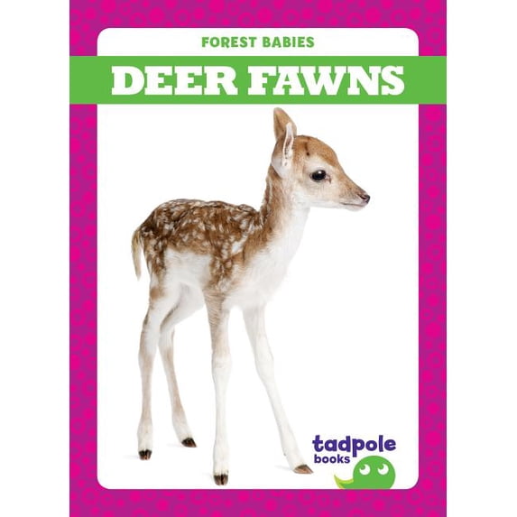 Deer Fawns