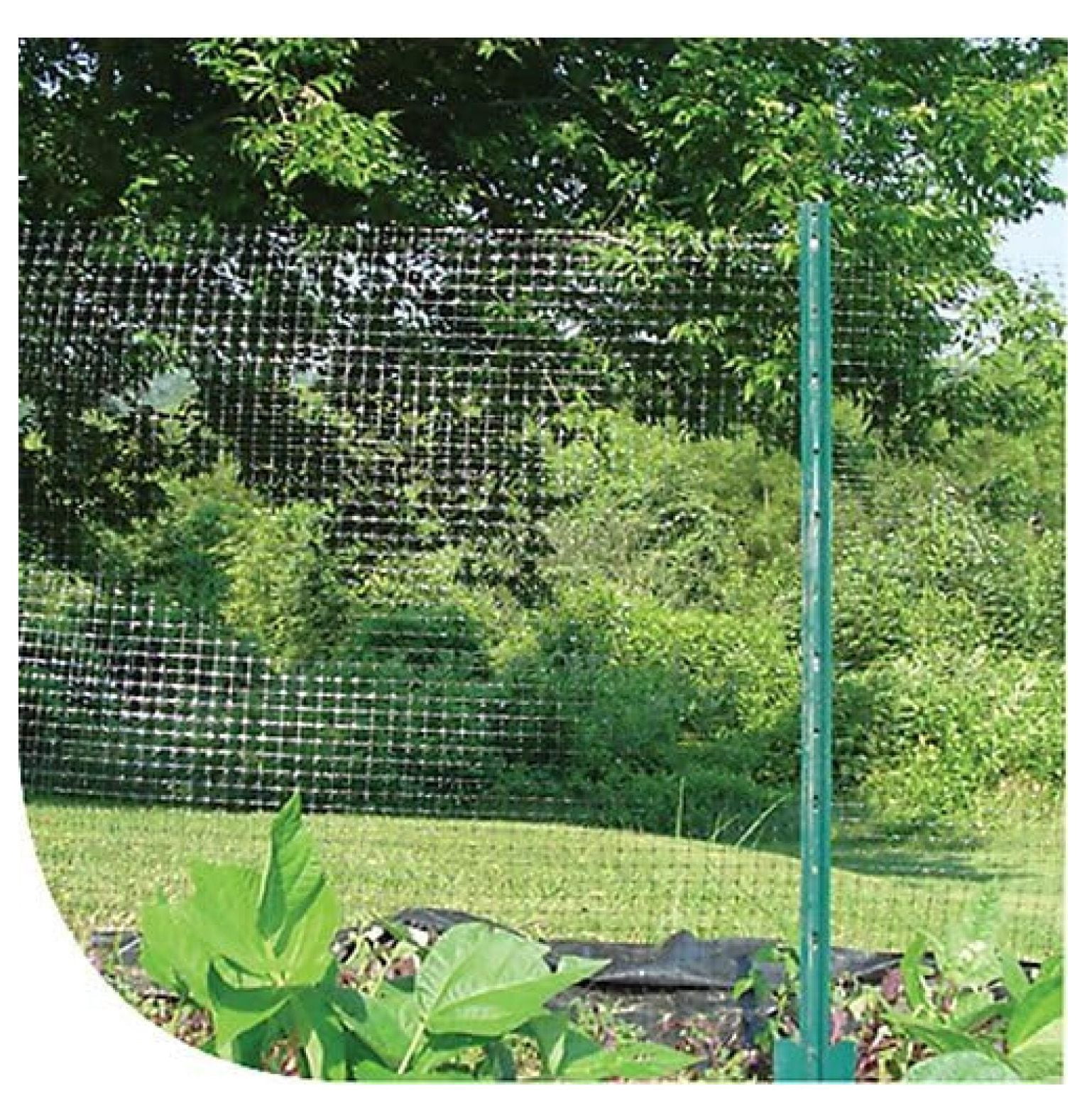 Deer Fence Netting 100ft, 7ft Wide - Humane Deer Barrier for Garden & Plants - UV Treated Polypropylene Deer Fencing - Protect Vegetables, Flowers & Landscaping