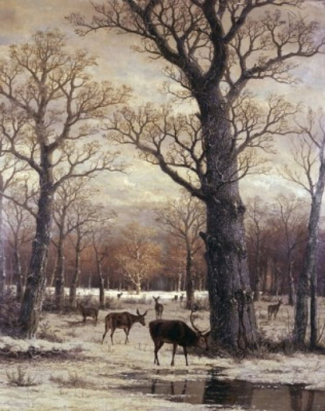 Deer Foraging Winter 19th C Artist Unknown Canvas Art -  (18 x 24)